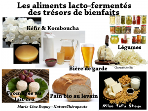 aliments-lacto-fermentes