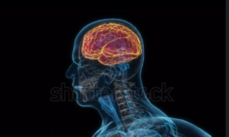 Vitamines B6, B9, B12 et prévention du déclin cognitif
