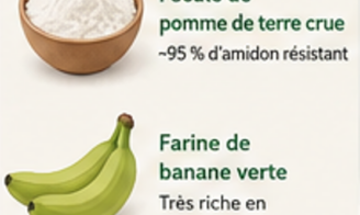Rééquilibrer sa flore intestinale : rôle clé de l'amidon résistant